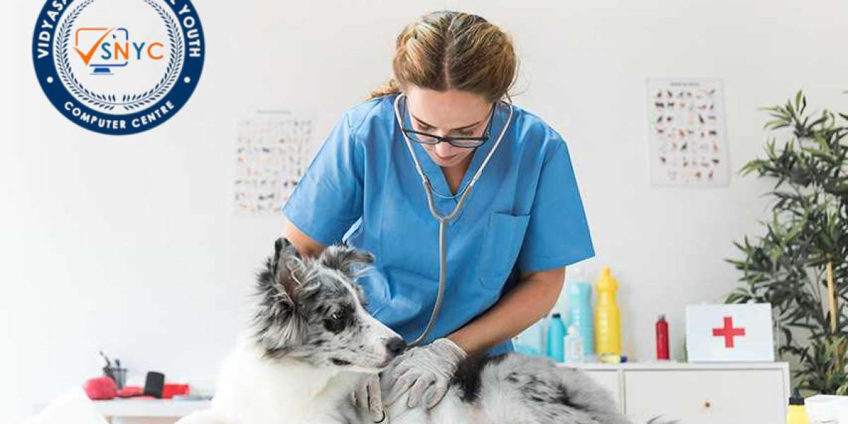 Supplements for Dogs Diagnosed with Liver Disease