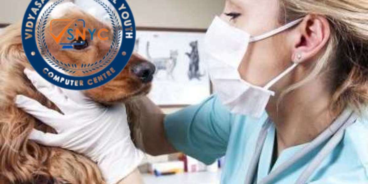 Veterinary Clinic Auburn California, In-house Laboratory, Chemisty, Complete Blood Count