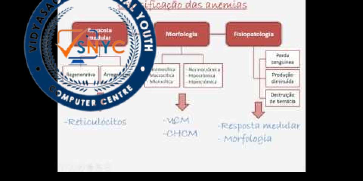 Congenital and Inherited Disorders of the Urinary System in Dogs Dog Owners