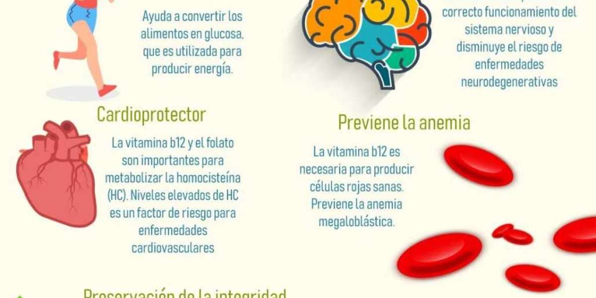 Diferencias entre el colágeno y la gelatina