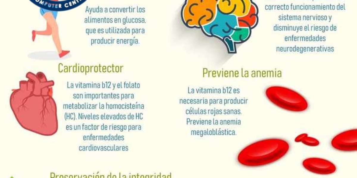 Alcohol de Romero: propiedades, usos y cómo hacerlo paso a paso