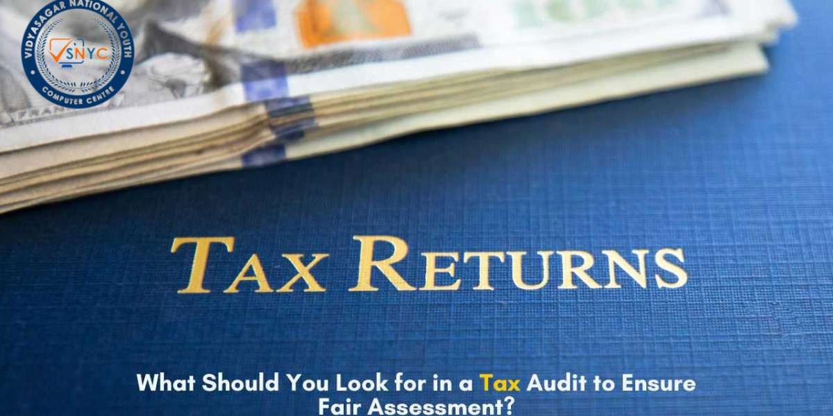 What Should You Look for in a Tax Audit to Ensure Fair Assessment?