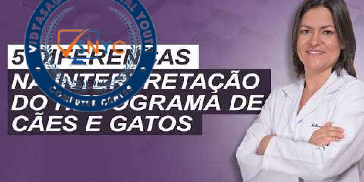 Cuide do Futuro do Seu Melhor Amigo: Dicas para Prevenir Doença Renal em Cães e Gatos desde Filhotes