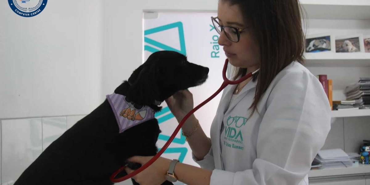 Cuide do Seu Melhor Amigo: Estratégias Eficazes para Prevenir a Doença Renal Crônica em Cães