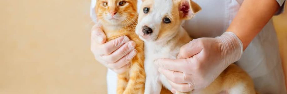Chatswood Veterinary Clinic Cover Image