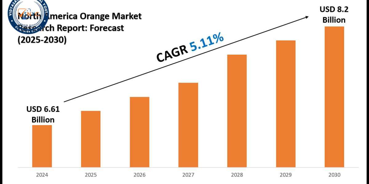 North America Orange Market Opportunities and Segment Outlook