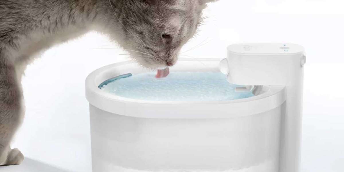 Is Your Pet Drinking Fresh Water Regularly?