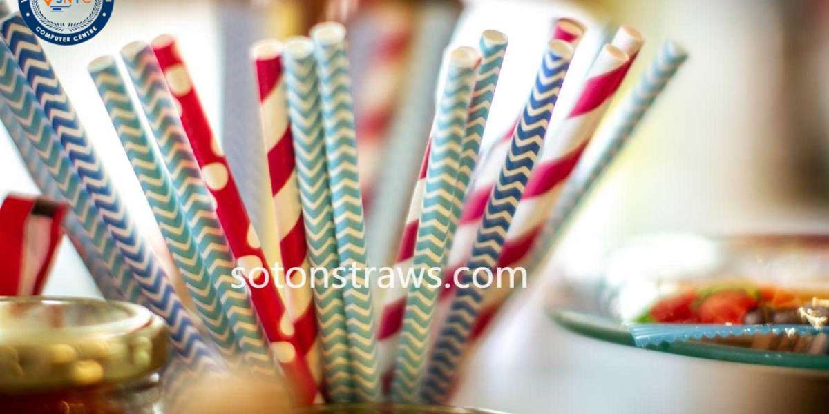 Soton’s Role In Elevating Eco-Friendly Straw Manufacturing Standards